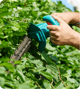 Servicios de jardinería