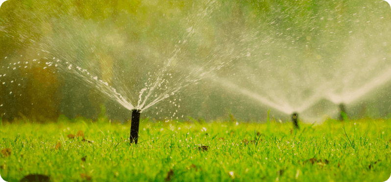 Riego automático en funcionamiento